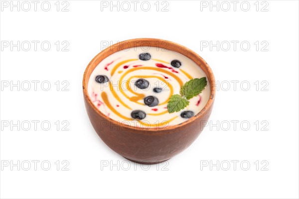 Yoghurt with bilberry and caramel in clay bowl isolated on white background. side view, close up