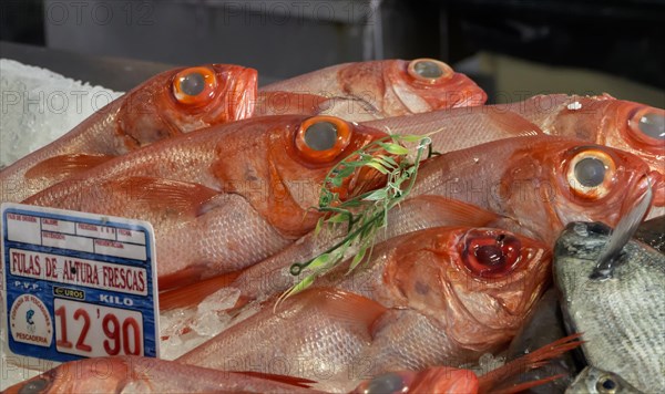 Playa Blanca fish market, Lanzarote