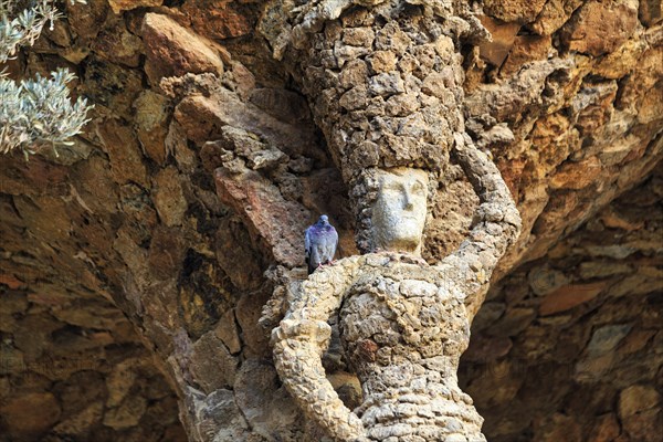 Dove sitting on the shoulder of a stone sculpture, Portico of the Washerwoman, colonnade in Park Güell, Barcelona, Spain, Europe