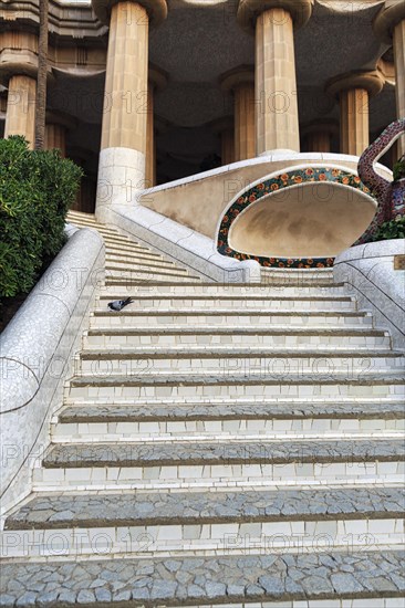 Empty dragon staircase, staircase with pigeon in Park Güell, deserted, Gracia, Barcelona, Spain, Europe