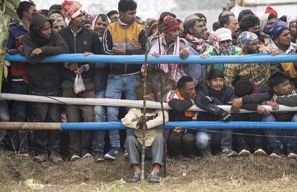 Large group of people looking traditional Moh-Juj (Buffalo fight) competition as a part of Magh Bihu Festival on January 16, 2024 in Ahatguri, India. Traditional Buffalo fights organised in different parts of Assam, during the harvest festival Magh Bihu or Bhogali Bihu since the Ahom rule. The practice was discontinued in 2014 after a Supreme Court order, the event resumed this year in adherence to Standard Operating Procedures (SOP) laid down by the Assam Government