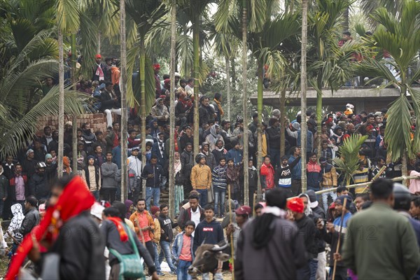 Large group of people looking traditional Moh-Juj (Buffalo fight) competition as a part of Magh Bihu Festival on January 16, 2024 in Ahatguri, India. Traditional Buffalo fights organised in different parts of Assam, during the harvest festival Magh Bihu or Bhogali Bihu since the Ahom rule. The practice was discontinued in 2014 after a Supreme Court order, the event resumed this year in adherence to Standard Operating Procedures (SOP) laid down by the Assam Government