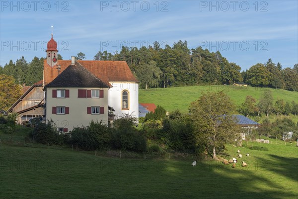 Kressbronn am Bodensee, district Nitzenweiler, Hofgut Schleinsee, chapel, pasture, sheep grazing, forest, Baden-Württemberg, Germany, Europe