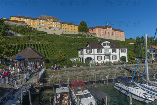 Meersburg on Lake Constance, harbour, yachts, vineyard, landing stage, state winery, Droste-Hülshoff-Gymnasium, Baden-Württemberg, Germany, Europe