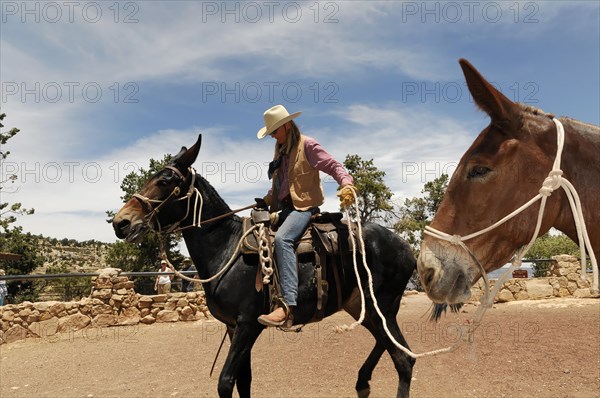 Riders on mules on the South Kaibab Trail hiking trail over the Cedar Ridge ridge, Grand Canyon, Grand Canyon National Park, Arizona, USA, North America