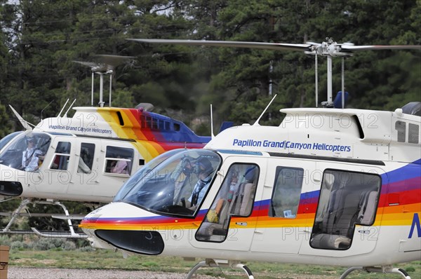 Papillon Grand Canyon Helicopter, Grand Canyon, Arizona, USA, North America