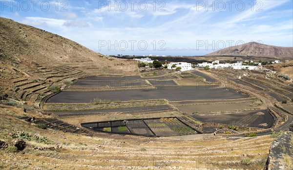 Volcano crater and black volcanic soil farmland, near Tinajo, Lanzarote, Canary Islands, Spain, Europe