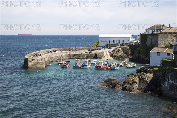 Fishing boats in the harbour at Coverack, Lizard Peninsula, Cornwall, England, UK