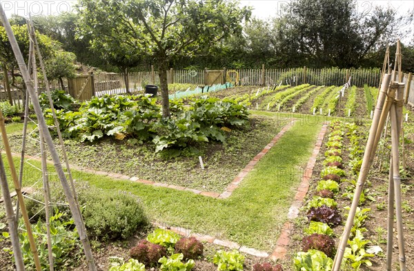 Vegetable plot at Potager Garden, Constantine, Cornwall, England, UK