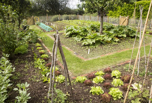 Vegetable plot at Potager Garden, Constantine, Cornwall, England, UK