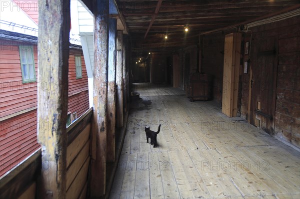 Historic Hanseatic League wooden buildings Bryggen area, Bergen, Norway UNESCO World Cultural Heritage site