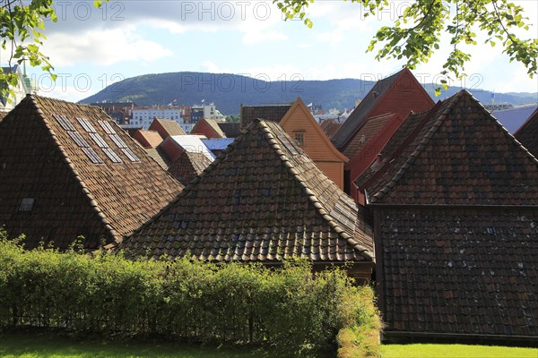 Historic Hanseatic League wooden buildings Bryggen area, Bergen, Norway UNESCO World Cultural Heritage site