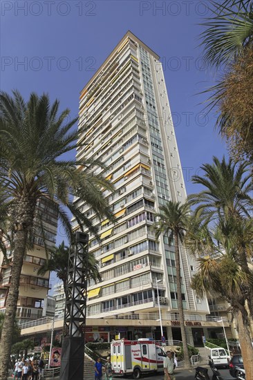 High rise apartment buildings, Benidorm, Alicante province, Spain, Europe