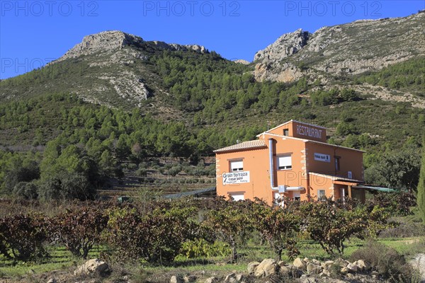 Mountain landscape near Xalo or Jalon, Marina Alta, Alicante province, Spain, Europe