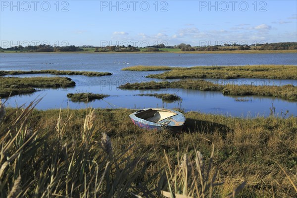 Winter landscape with small beached boat, River Deben, Ramsholt, Suffolk, England, UK