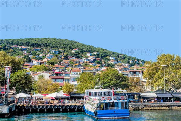 Tourist ferry docked at pier on Princess Island in Turkey. in Turkey