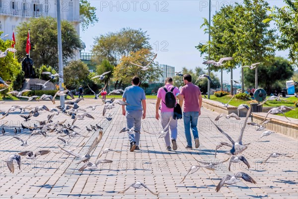 Three men walking in plaza while flock of birds take flight on Princess Island in Turkey
