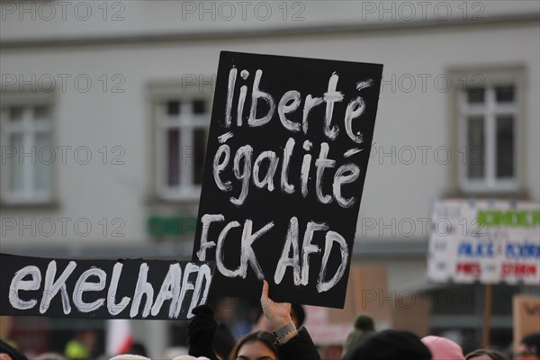 A placard to freedom and equality held high by a member of the crowd during a demonstration against the AFD last Sunday. Coburg, Germany, Europe