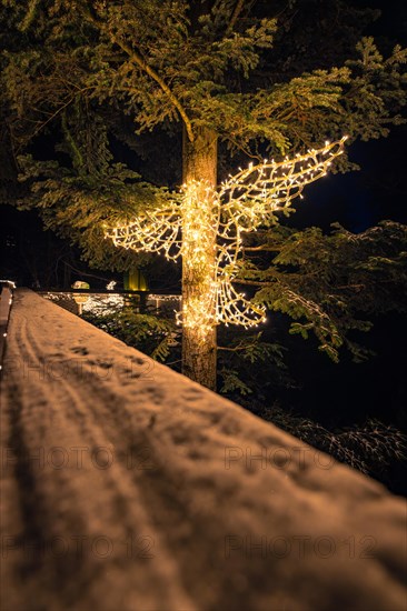 A tree at night decorated with a string of lights in the shape of a deer, magical forest dwellers, treetop walk Bad Wildbad, Black Forest, Germany, Europe