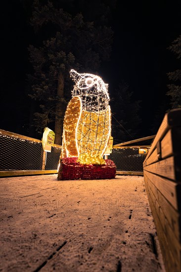 Shimmering light sculpture in the shape of a penguin at night, enchanting forest dwellers, treetop walk Bad Wildbad, Black Forest, Germany, Europe