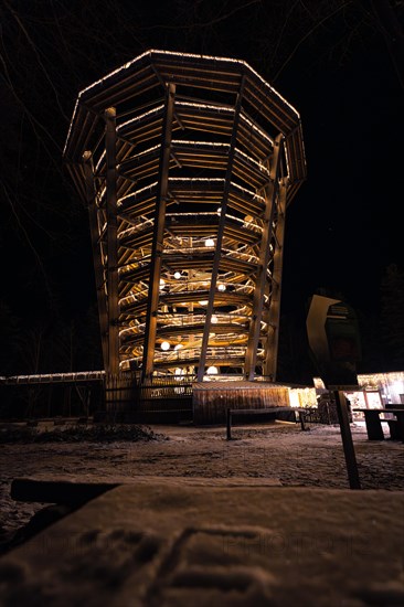 An observation tower illuminated at night from a low perspective, Enchanting forest dwellers, Treetop Walk Bad Wildbad, Black Forest, Germany, Europe