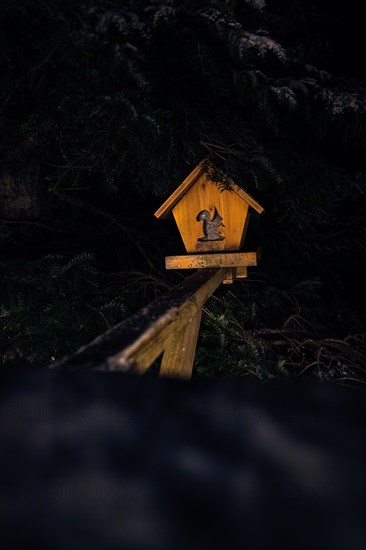 Single bird house illuminated in the dark, magical forest dwellers, treetop walk Bad Wildbad, Black Forest, Germany, Europe