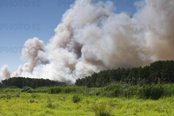 Fire in a 100-hectare grain field on the River Peene in summer, clouds of smoke from a field fire, Flusslandschaft Peenetal nature park Park, Mecklenburg-Western Pomerania, Germany, Europe
