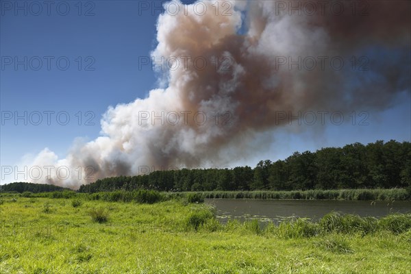 Fire in a 100-hectare grain field on the River Peene in summer, clouds of smoke from a field fire, Flusslandschaft Peenetal nature park Park, Mecklenburg-Western Pomerania, Germany, Europe