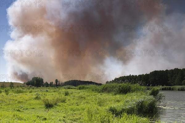 Fire in a 100-hectare grain field on the River Peene in summer, clouds of smoke from a field fire, Flusslandschaft Peenetal nature park Park, Mecklenburg-Western Pomerania, Germany, Europe