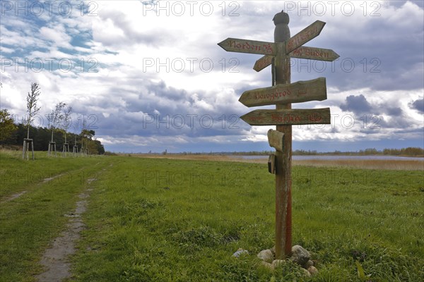 Tourist infrastructure, signpost with writing and runes in the style of the Vikings, Flusslandschaft Peenetal nature park Park, Mecklenburg-Western Pomerania, Germany, Europe
