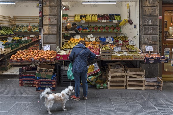 Woman with dog shopping in front of a greengrocer's shop in the historic centre, Genoa, Italy, Europe