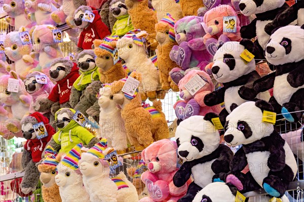 Panda bears and cuddly toys, stuffed animals, prizes, raffle prizes, lucky draw, lottery stand, lottery booth at Kalter Markt fair, Kaale Määrt, funfair, fairground, Ortenberg, Wetterau, Hesse, Germany, Europe