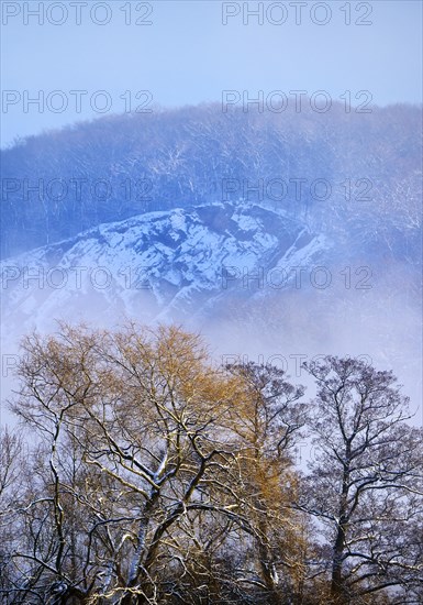 Snow-covered Wartenberg with fog in winter, Witten, Ruhr area, North Rhine-Westphalia, Germany, Europe