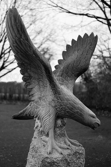 Eagle, sculpture, North Rhine-Westphalia, Germany, Europe