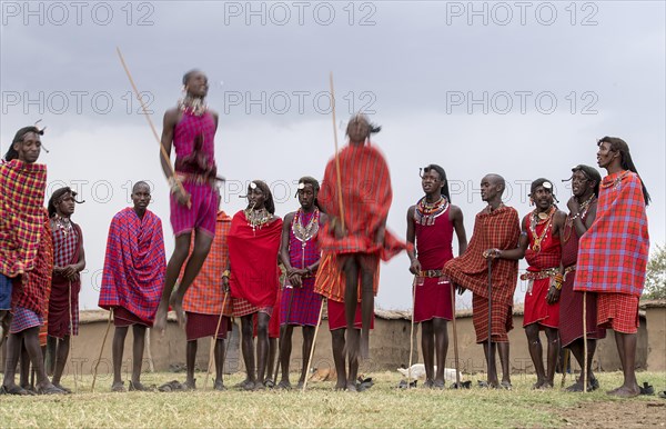 Maasai people preforming the traditional jumping dance in a Maasai village in Maasai Mara, Kenya, Africa