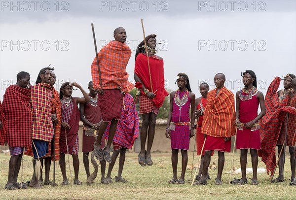 Maasai people preforming the traditional jumping dance in a Maasai village in Maasai Mara, Kenya, Africa