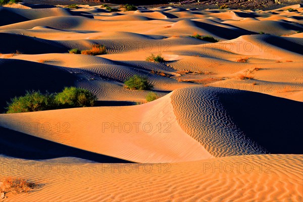 Death Valley & Panamint Mountains, California