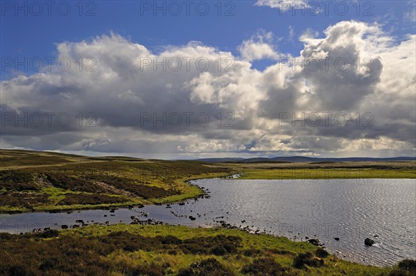 Felsen und Steine am Loch Farley | Exposed rocks and stones at Loch Farlary, near Golspie, Sutherland, Scotland, UK