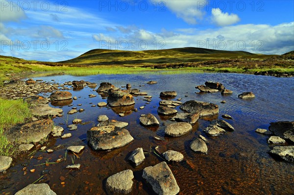 Felsen und Steine am Loch Farley | Exposed rocks and stones at Loch Farlary, near Golspie, Sutherland, Scotland, UK