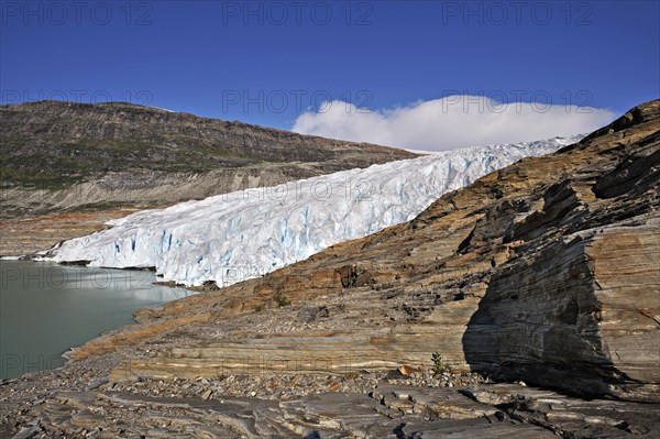 Glacier tongue or snout from the Svartisen ice-cap falls into a meltwater lake, Osterdalen, Norway, Europe