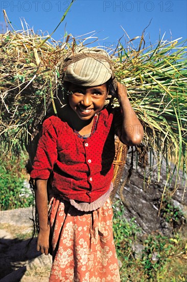 Smiling Bhote girl carries fodder for her buffalo home to her village in the Kosi region of east Nepal