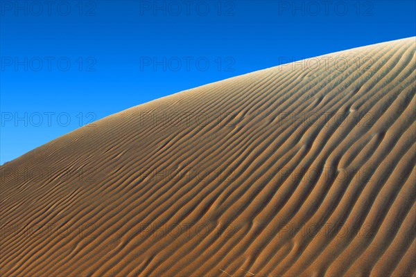 Sand-dunes in the desert of Oman near the border with Saudi Arabia. Sanddünen in Oman, Saudi Arabien