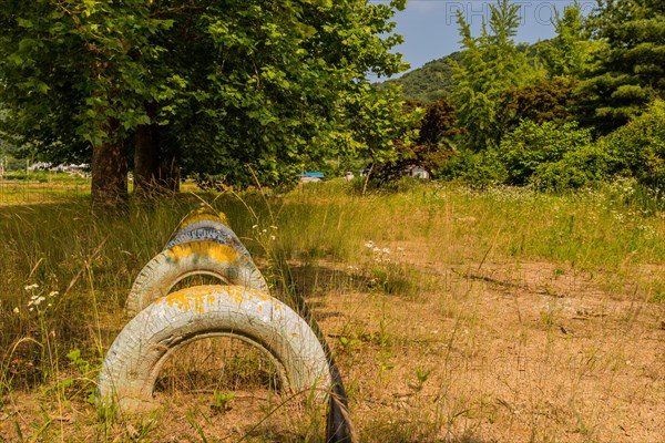 Row of painted tires planted in ground under shade trees in field of tall grass in South Korea