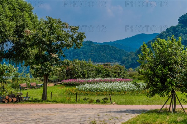 Landscape of urban public park with benches next to beautiful flowerbed and brick walkway in foreground in South Korea