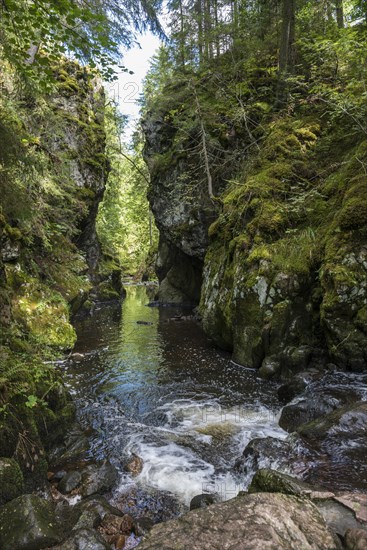 Haslachschlucht, Wutachschlucht, near Lenzkirch, Black Forest, Baden-Wuerttemberg, Germany, Europe