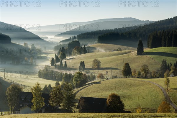 Morning mist, morning mood, sunrise, Jostal, near Neustadt, Black Forest, Baden-Wuerttemberg, Germany, Europe