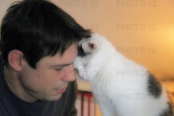 Symbolic image: Close relationship between humans and animals, like a cat here