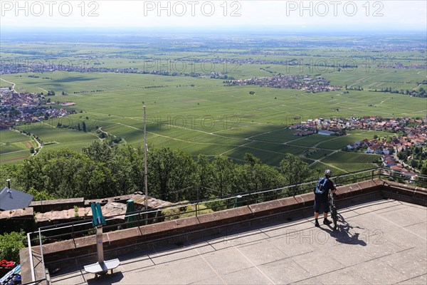 View of the Rhine plain from the Rietburg above Rhodt