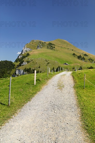 Hiking trail to Niederbauen Kulm (1923m), Lake Lucerne, Canton Uri, Switzerland, Lake Lucerne, Uri, Switzerland, Europe