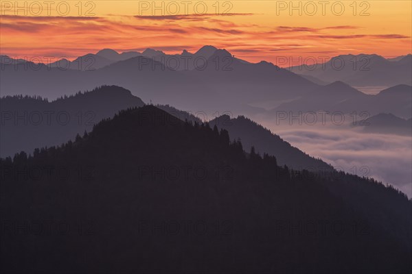 Mountain peak above clouds at sunrise, backlight, haze, summer, view from Jochberg to Hirschhoerndl, Bavarian Alps, Upper Bavaria, Bavaria, Germany, Europe